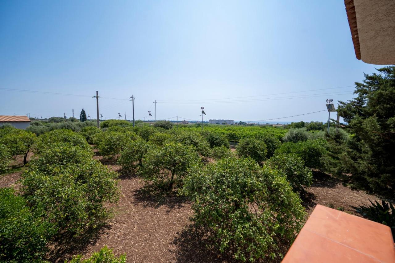 Il Limoneto Di Nonno Corrado Villa Avola Eksteriør bilde