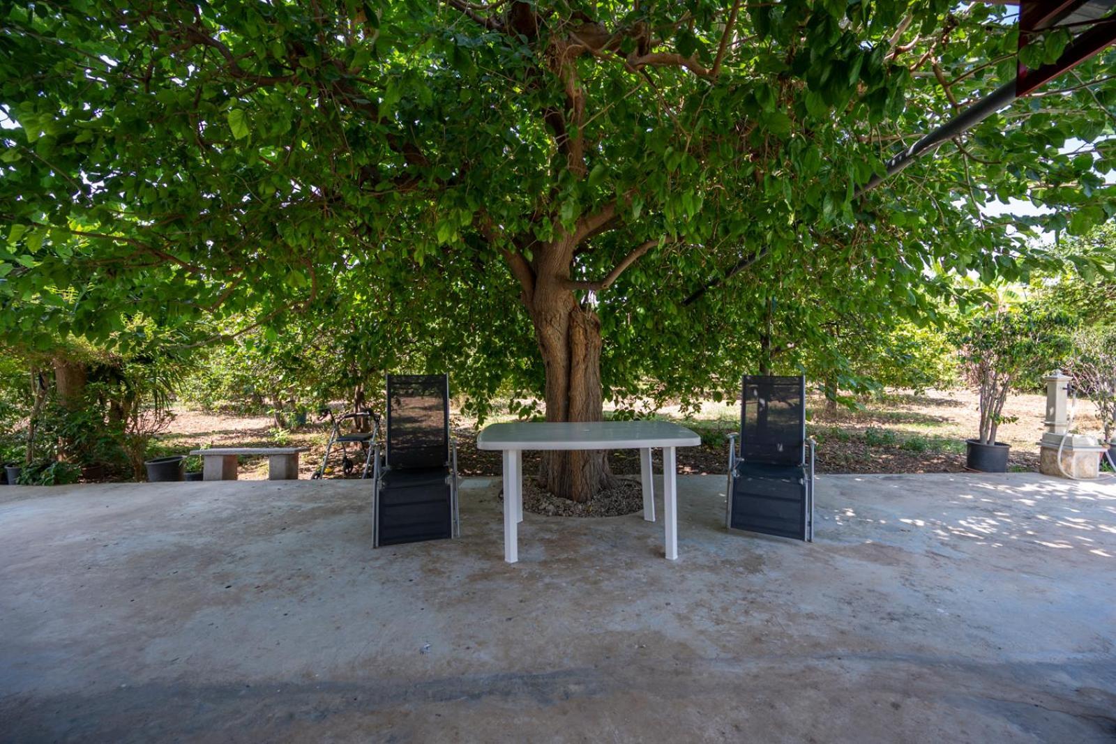 Il Limoneto Di Nonno Corrado Villa Avola Eksteriør bilde